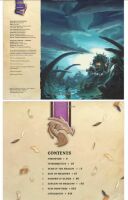 Артбук книга Art of Hearthstone: Year of the Dragon Volume 5 (Тверда обкладинка) (Eng) том 5